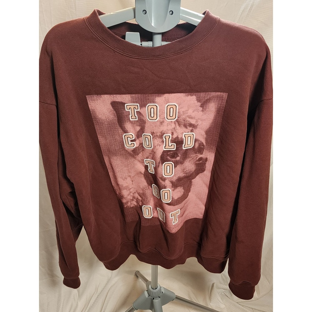Offline by Aerie Too Cold To Go Out Graphic Sweatshirt M NWOT